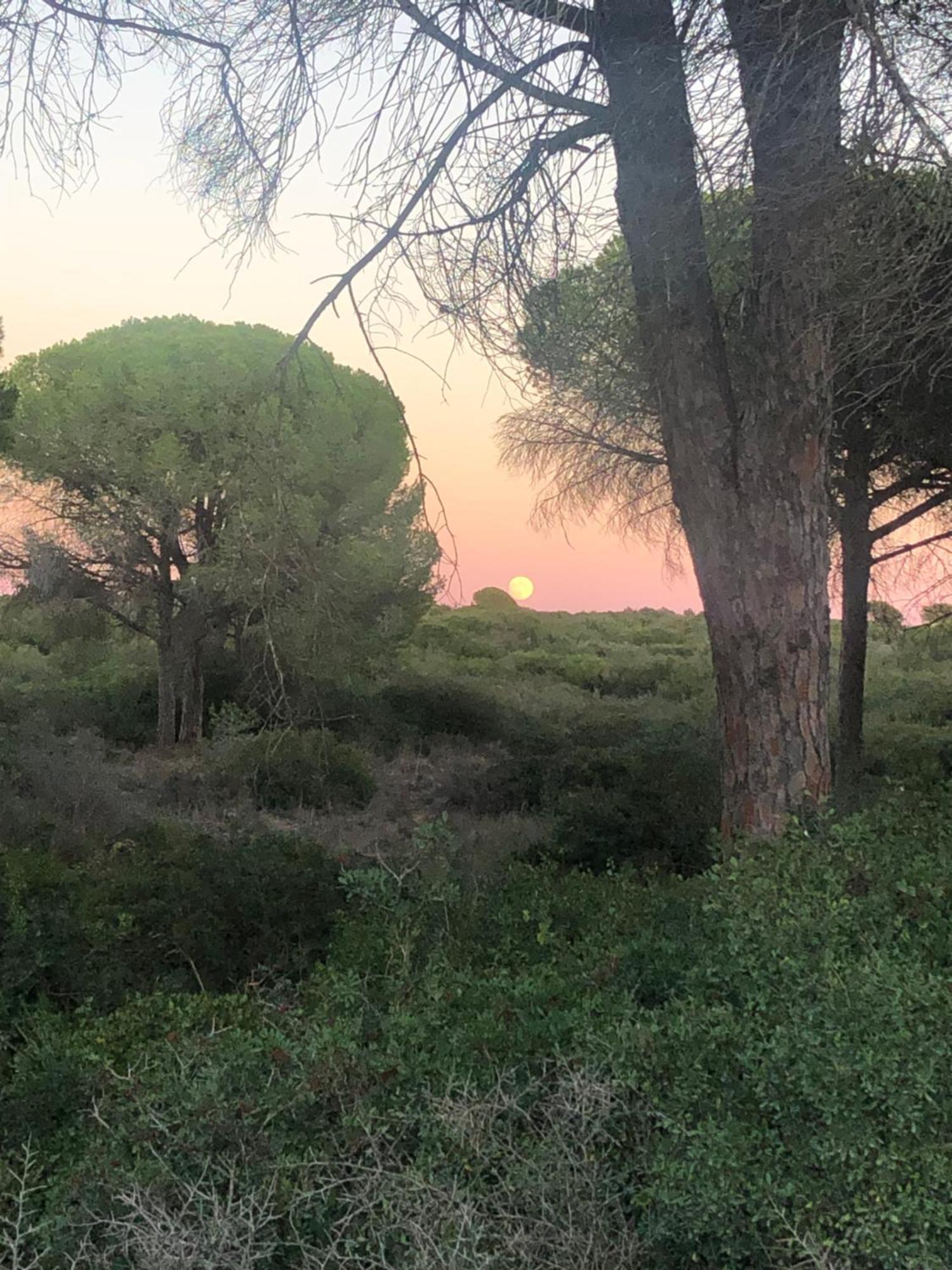 Casa Rural Los Pepe Sancti Petri Chiclana de la Frontera Zewnętrze zdjęcie